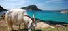 Hotels en  Sardaigne